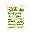 پک برنامه ریزی من کاکتوس نیکولند