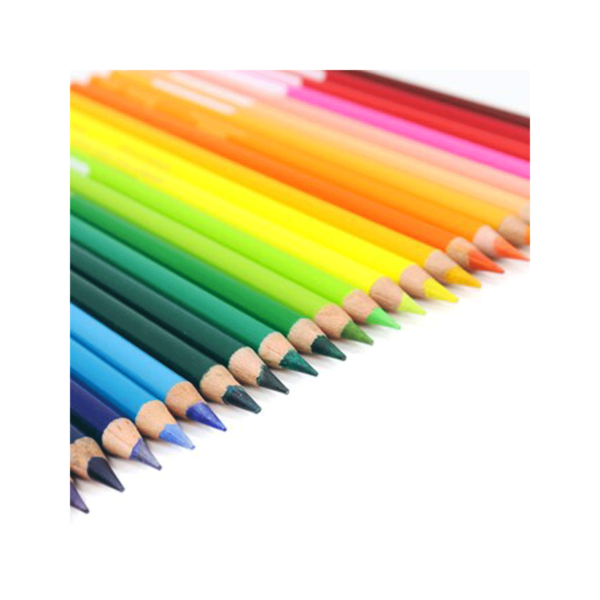مداد رنگی 2+13 رنگ نورما با مغز 4 میل مدل punta