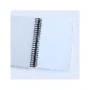 11.webp