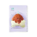 دفتر مشق 60 برگ نیکولند طرح هاپو حاشیه رنگی 