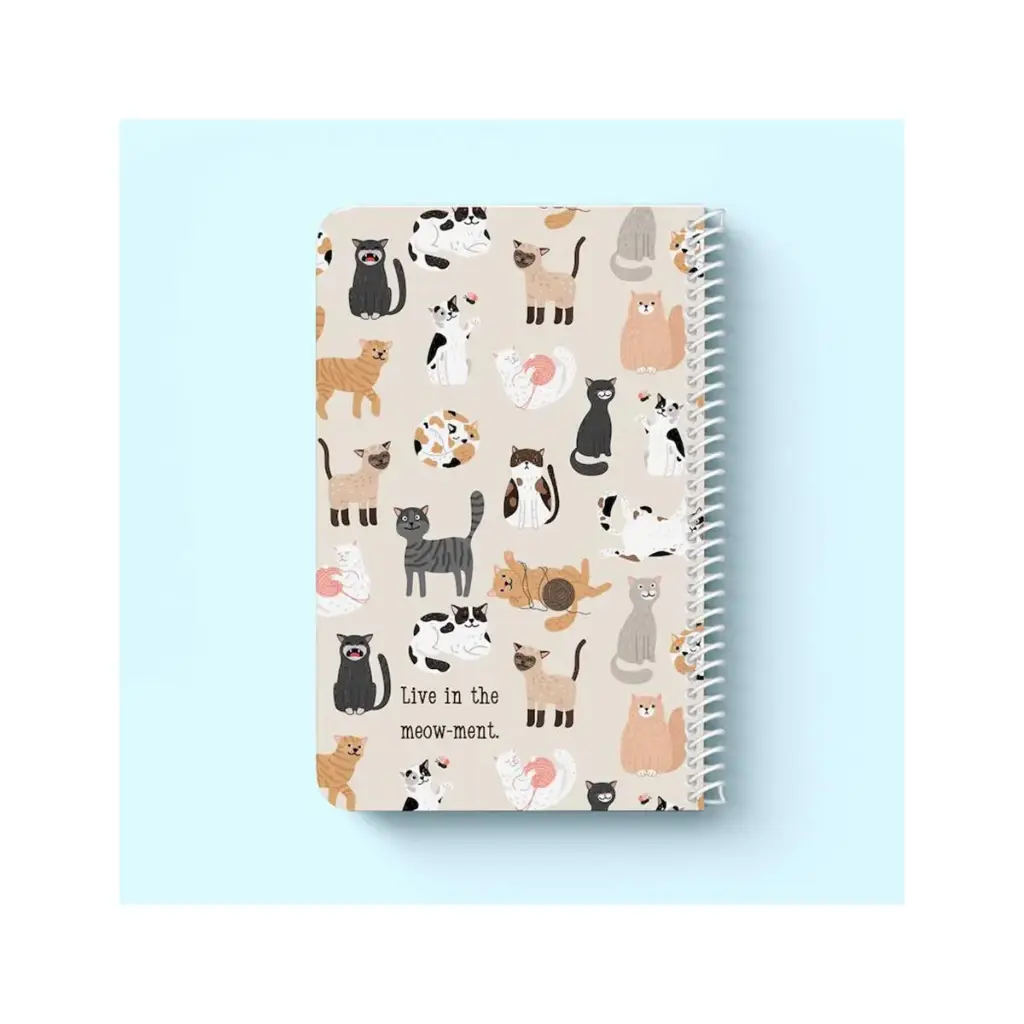 دفتر اروپایی خط دار سیمی / کیچ بوک