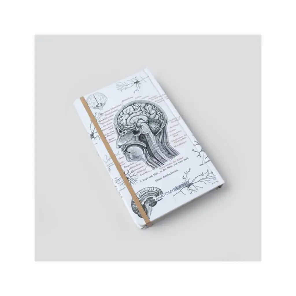 دفتر سری ساینس اروپایی طرح مغز طوسی / دات نوت