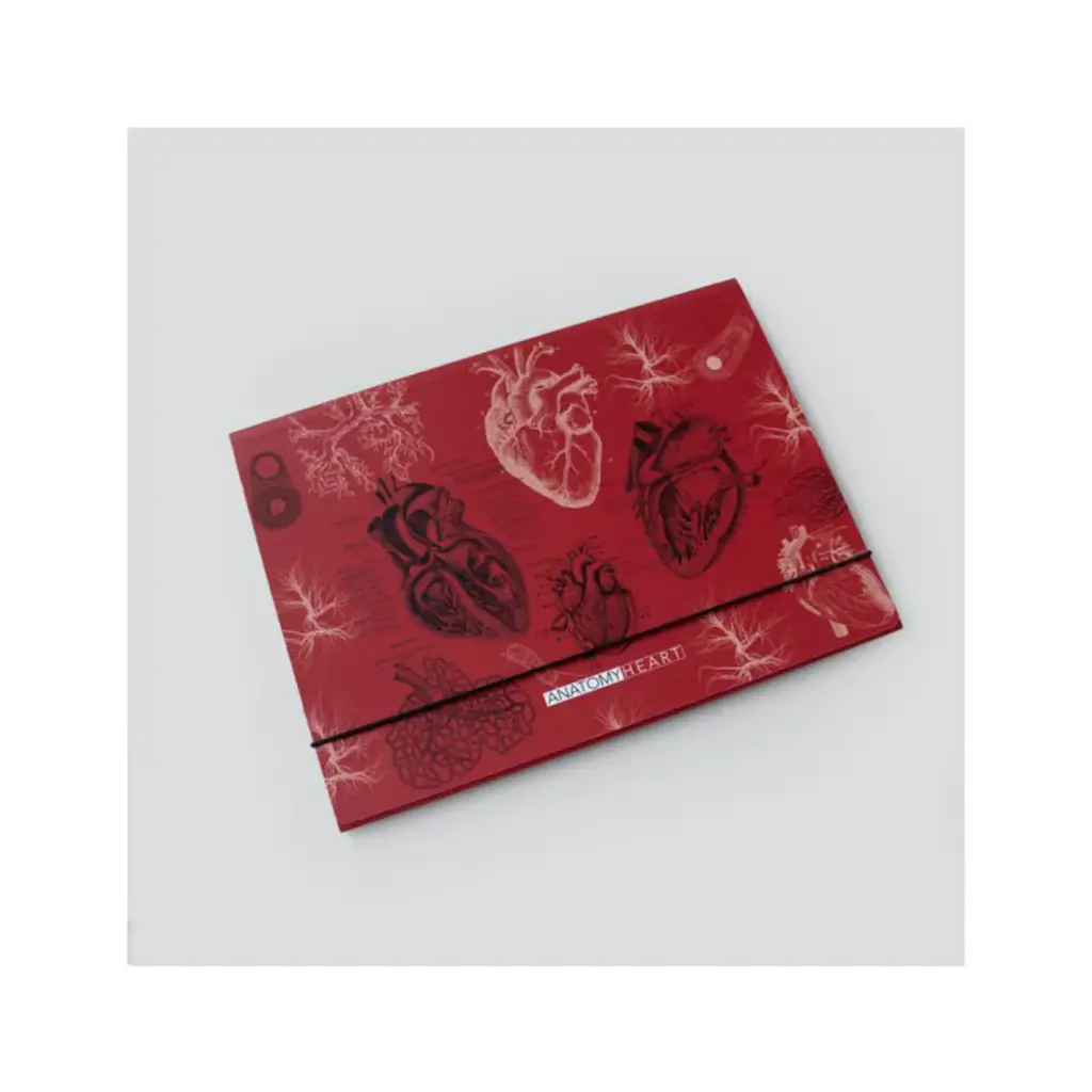 پوشه مقوایی طرح قلب قرمز / دات نوت