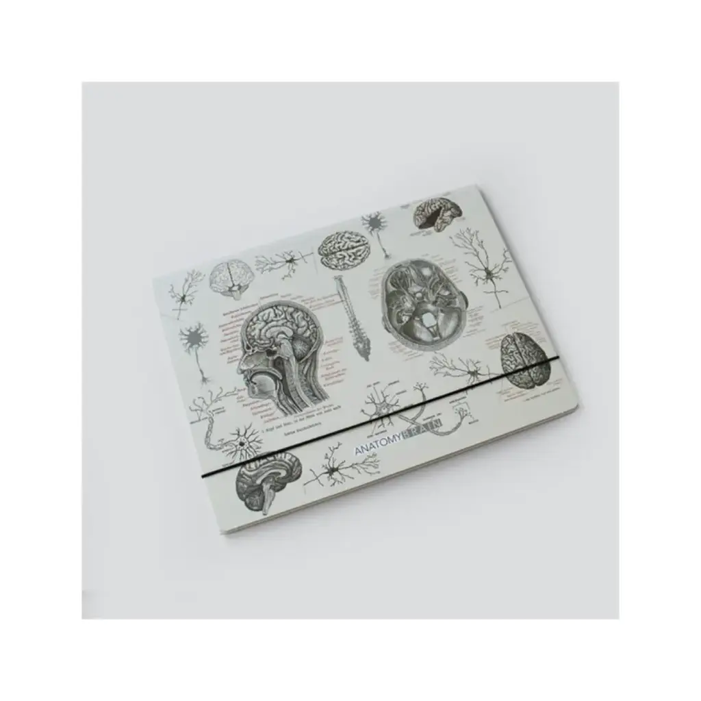 پوشه مقوایی طرح مغز طوسی / دات نوت