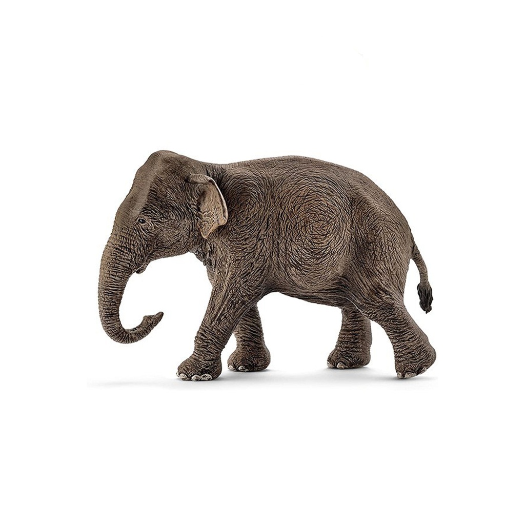 فیگور فیل ماده آسیایی کد 4069