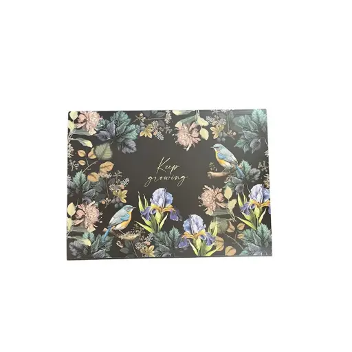 [29285] پوشه مقوایی طرح گنجشک / دات نوت