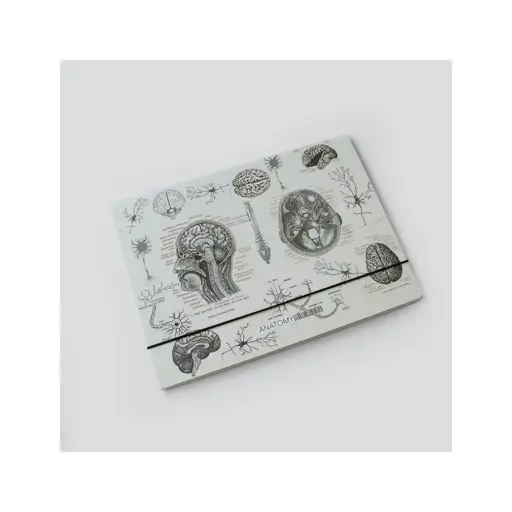 [29291] پوشه مقوایی طرح مغز طوسی / دات نوت