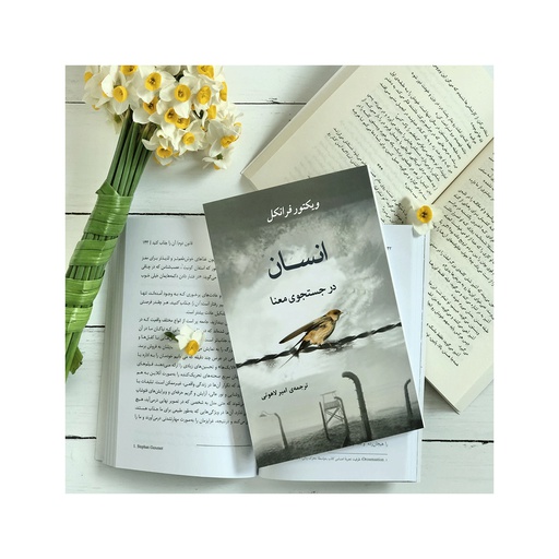 [6171] کتاب انسان در جستجوی معنا / جامی